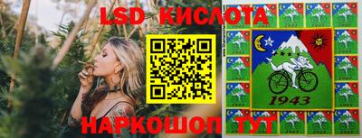 крисы Абакан