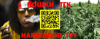 крисы Абакан