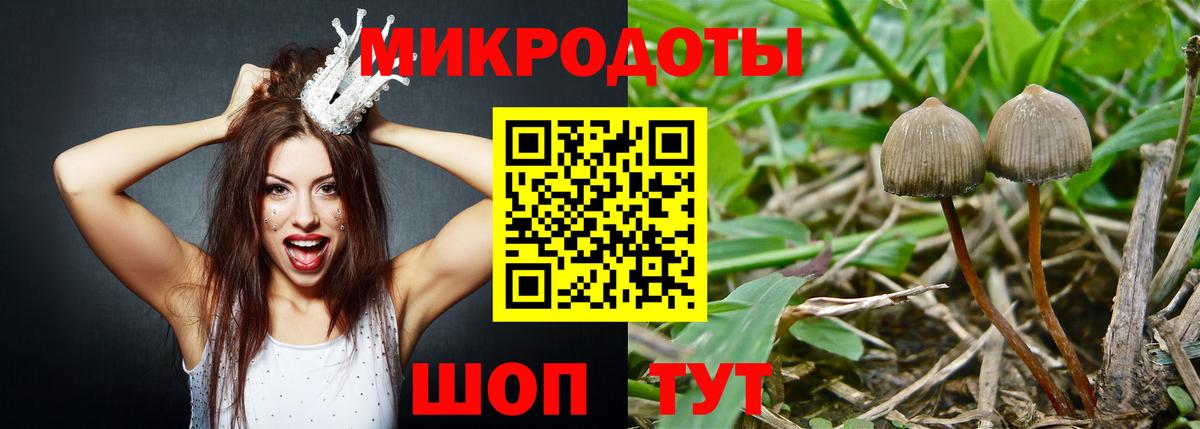 Алейск  Псилоцибиновые грибы Psilocybe  Вход с VPN  Псилоцибиновые грибы ЛСД 